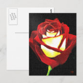 Cartes Roses rouges et blanches (Devant / Derrière)