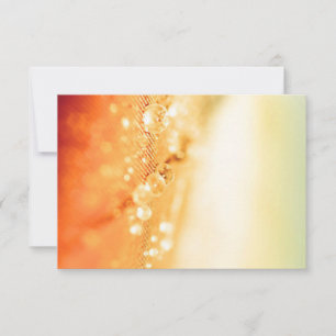 Cartes RSVP de mariage