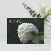 Cartes RSVP de mariage Chaux Blanches Hydrangea (Debout devant)