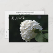 Cartes RSVP de mariage Chaux Blanches Hydrangea (Devant / Derrière)