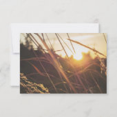 Cartes RSVP Mariage de automne Sunset Automne (Dos)