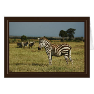Cartes safari faune zébrée