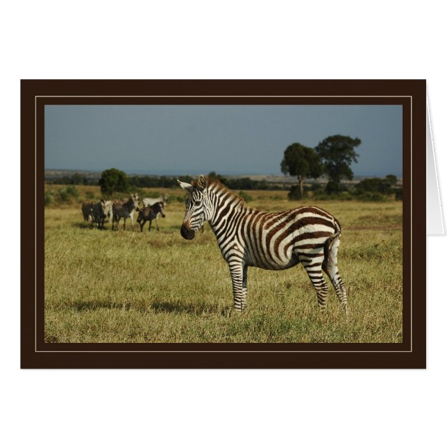 Cartes safari faune zébrée (Devant horizontal)