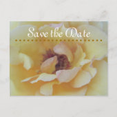 cartes Save The Date (Devant)