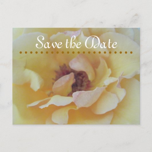 cartes Save The Date (Devant)