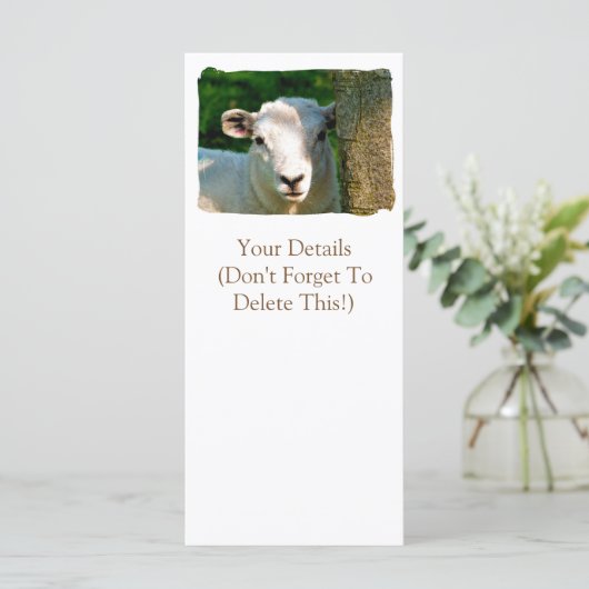 CARTES SHEEP (Debout devant)