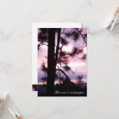 Cartes Sunset Sympathy (Devant/Arrière en situation)