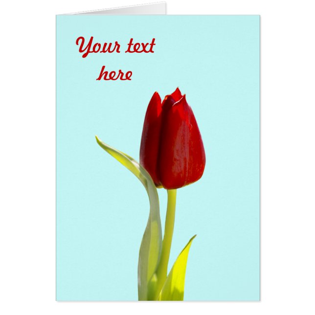 Cartes Tulipe (Devant)