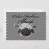 Cartes Valais Blaccusé (Devant)