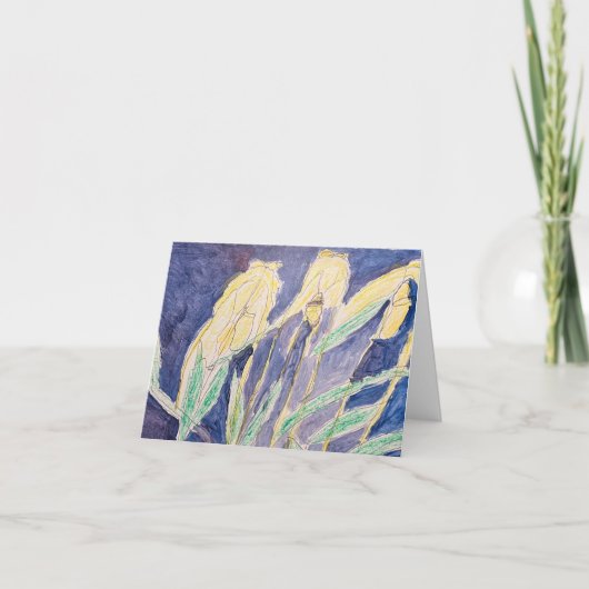 Cartes vides (Devant)