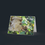 Cartes vierges Angel Friends<br><div class="desc">La collection Angel Friends est personnalisable avec le texte de votre choix.Profitez-en:)</div>