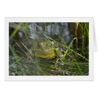 Cartes vierges de grenouille de Taureau