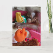 Cartes vierges de la faune : Jouets de bébé Orango (Devant)