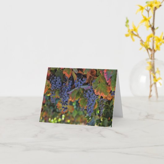 Cartes vierges de note de vin (Fleur jaune)