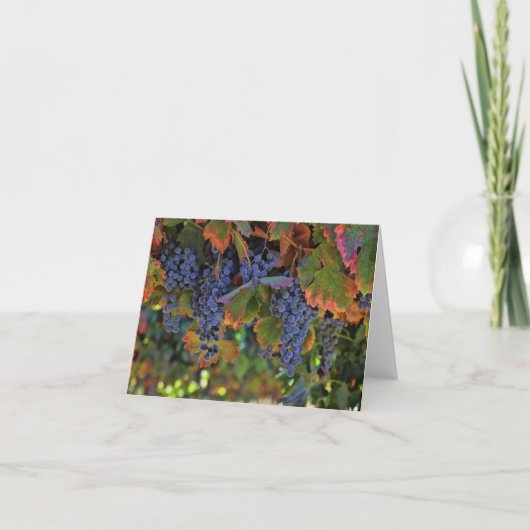 Cartes vierges de note de vin (Devant)