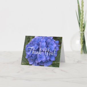 Cartes vierges de remerciement Fleur d'hortensia b