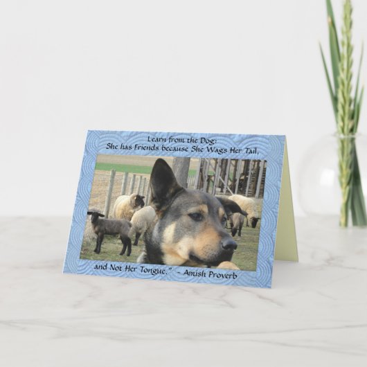 Cartes vierges ! Proverbe de chien (Devant)