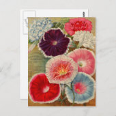 Cartes vintages, Postage et Cadeaux (Devant / Derrière)