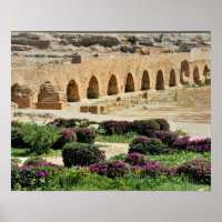 Carthage oude Punische stad, verwoest en vernietig