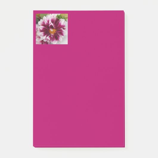 Cartheuserin Post-it® Notes (Voorkant)