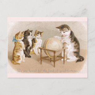 Cartografierkat en Drie Kittens Briefkaart