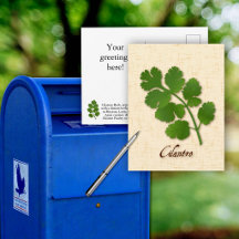 Cartographiez la carte postale de l'herbe de coria