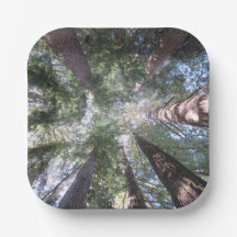 Assiettes et bols en papier California Redwoods Re