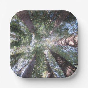 Carton Assiettes et bols en papier California Redwoods Re