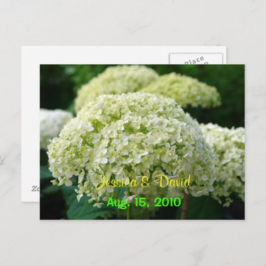 Carton de faire-part de mariage Hydrangea Blanche (Devant / Derrière)