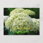 Carton de faire-part de mariage Hydrangea Blanche (Devant)
