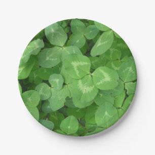 Carton Lucky Clovers ! Assiettes en Papier.