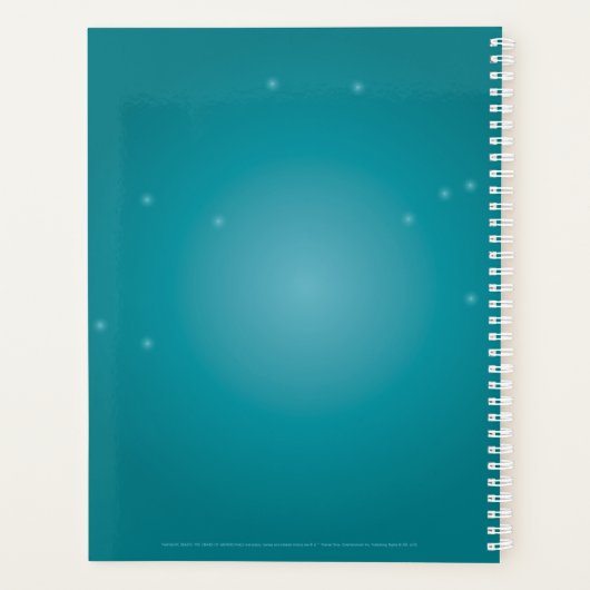 Carton NIFFLER™ Avec Pièces D'Or (Dos)