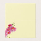 Carton plié orchidée pastel (Outside Unfolded)