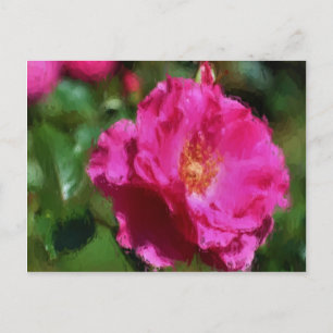 Carton rose Dessin rose Carte postale