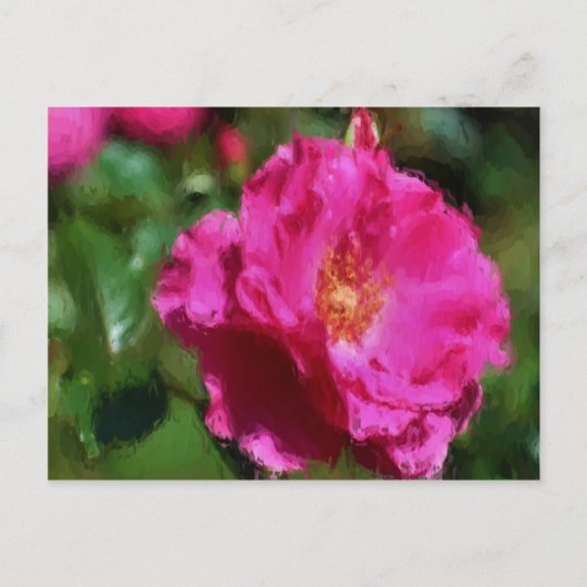 Carton rose Dessin rose Carte postale (Devant)