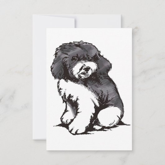 Cartons Réponse Aruba mignon (Dos)