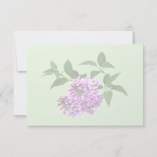 Cartons Réponse Beaux Lilas (Dos)