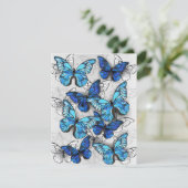 Cartons Réponse Composition des White and Blue Butterflies (Debout devant)