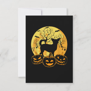 Cartons Réponse Costumes d'Halloween cool Chihuahua Amoureux de le