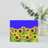 Cartons Réponse Couleurs du drapeau ukrainien - Liberté (Debout devant)