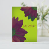 Cartons Réponse Élégance (Debout devant)