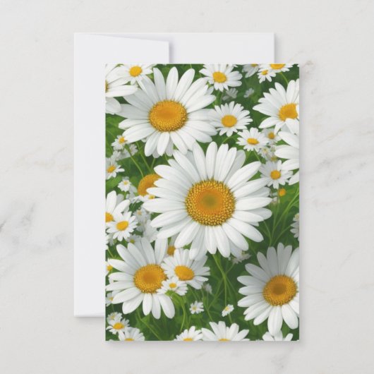 Cartons Réponse Elégante marguerite blanche champs fleuris blancs (Dos)