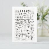 Cartons Réponse Entomologie noire et blanche Insectes Bugs (Debout devant)