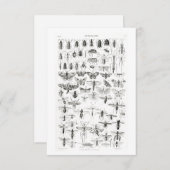 Cartons Réponse Entomologie noire et blanche Insectes Bugs (Devant / Derrière)