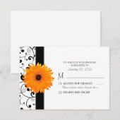 Cartons Réponse Faiseuse de Gerbera orange avec design de défileme (Devant / Derrière)