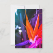 Cartons Réponse Fleur d'oiseau de paradis colorée (Dos)