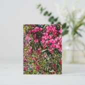 Cartons Réponse Fleur rose (Debout devant)