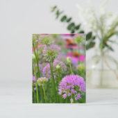 Cartons Réponse Fleurs d'été (Debout devant)