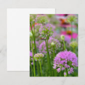Cartons Réponse Fleurs d'été (Devant / Derrière)