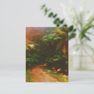 Cartons Réponse Forêt de Wakawakareva (Les séquoias), Rotorua, NZ